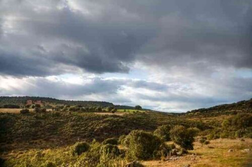 Los veterinarios reclaman su reconocimiento como Personal Técnico Competente en las actividades cinegéticas de Castilla-La Mancha