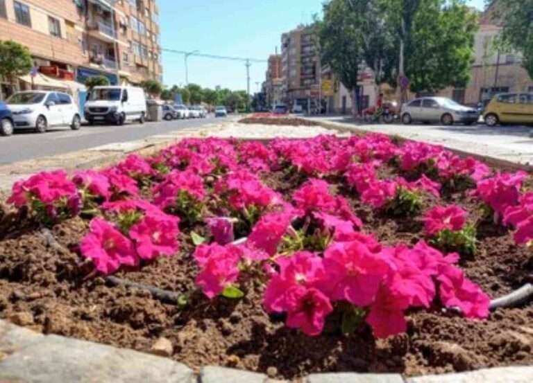 Inició el cambio de flor de temporada con 123.000 plantas en los  parques de Albacete