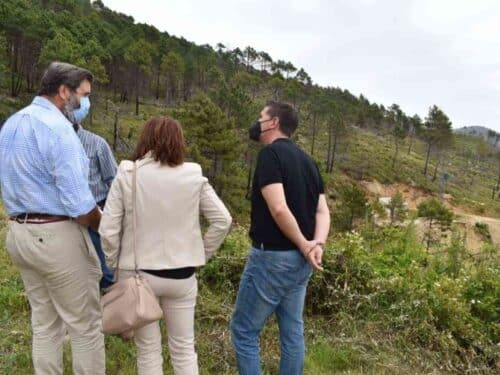 Iniciaron los trabajos de reconstrucción del sistema de captación de agua potable de Yeste
