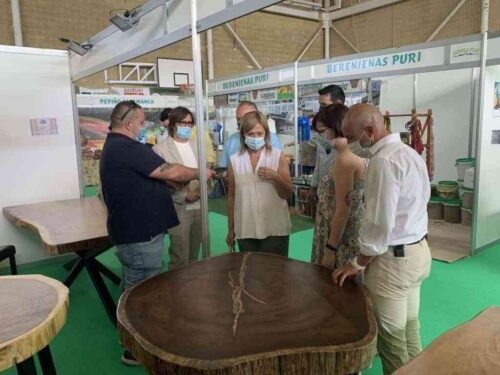 Picazo exige incentivos a empresas y ayudas a autónomos y jóvenes para frenar el éxodo rural: «Queremos futuro para nuestros pueblos»