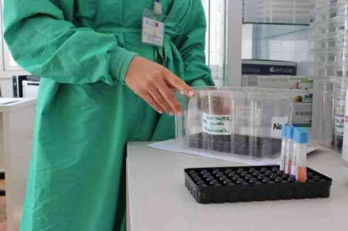 Castilla-La Mancha ha reducido en el último mes un 160 por ciento la mortalidad por COVID-19