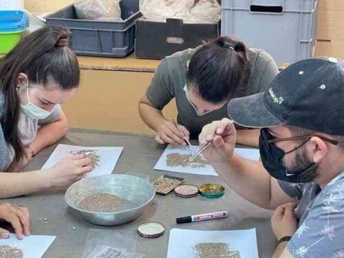 Finaliza la campaña de investigación zooarqueológica en Castillejo del Bonete, el yacimiento prehistórico de Terrinches