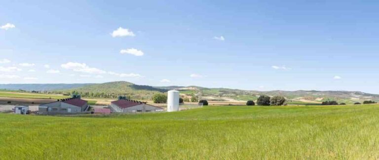 UCLM, ASAJA, ICPOR e ITAP apuntan a la innovación para la gestión de estiércol líquido de porcino