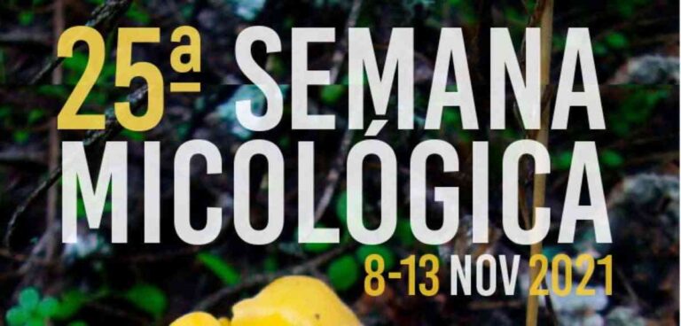25 Semana Micológica del 8 al 13 de noviembre en la Casa de la Cultura José Saramago de Albacete
