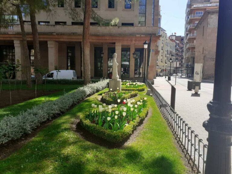 Este verano se plantará tagete pátula, conocido popularmente también como clavel moro en jardines y zonas verdes de Albacete