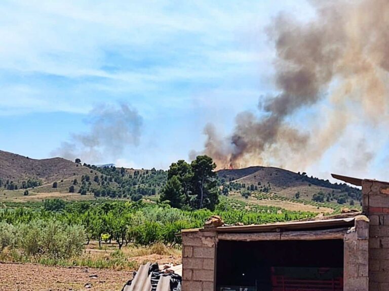 Cerca de medio centenar de efectivos siguen trabajando en la extinción del incendio de Agra (Albacete)