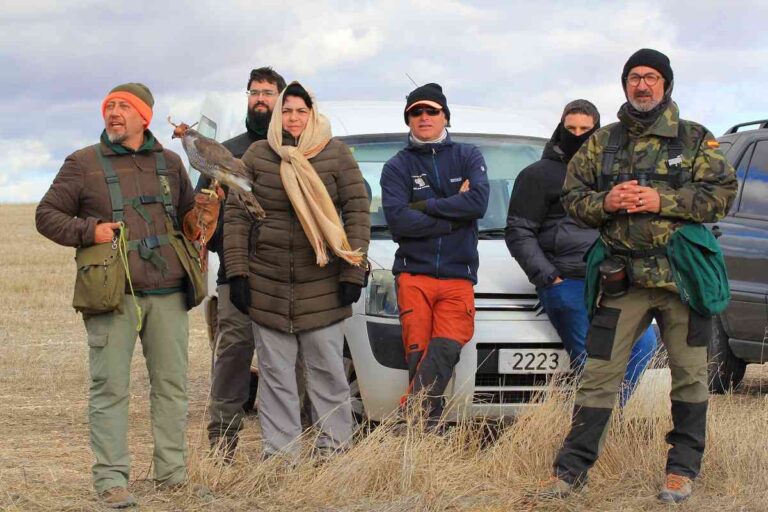 Veintiún cetreros participan en el I Campeonato Autonómico de Cetrería de CLM