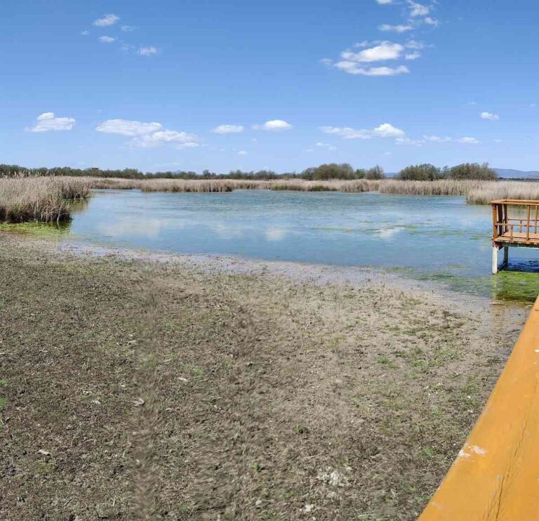 Los espacios naturales de la región acogerán diversas actividades para conmemorar el Día Mundial de los Humedales