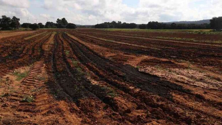 El Parque Científico y Tecnológico de Cuenca proyectado en Los Palancares incluye una planta de purines altamente contaminante