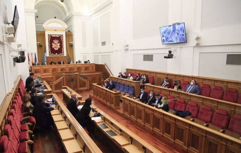 El pleno de las Cortes vota el jueves los proyectos de ley de Coordinación de Policías Locales y Vías Pecuarias