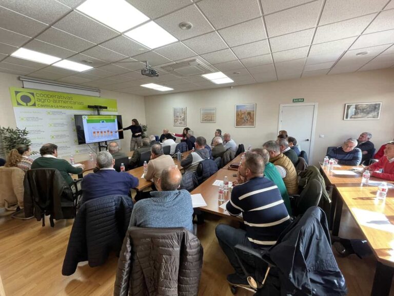 Cooperativas Agro-alimentarias hace balance de la campaña de aceituna en Castilla-La Mancha con una producción un 50% inferior a la anterior