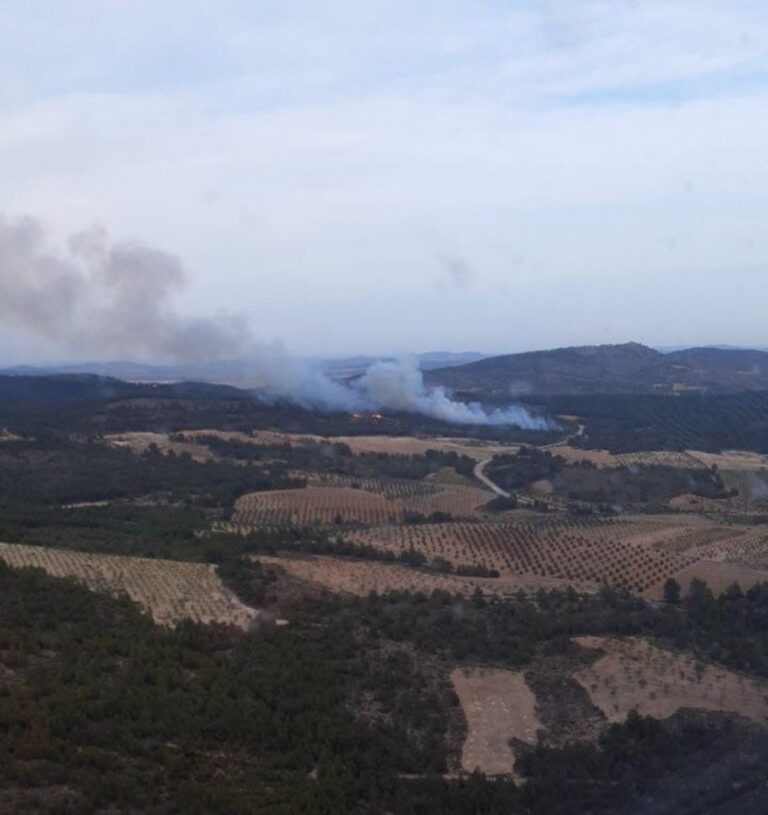 Controlado el incendio forestal de Ayna (Albacete) gracias a la labor del personal de rescate.