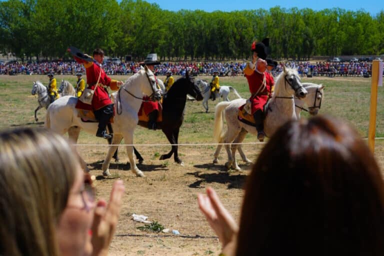 Cerca de 10.000 personas han disfrutado la Recreación Histórica de la Batalla de Almansa desde el pasado viernes, una magnífica promoción para la localidad y la provincia