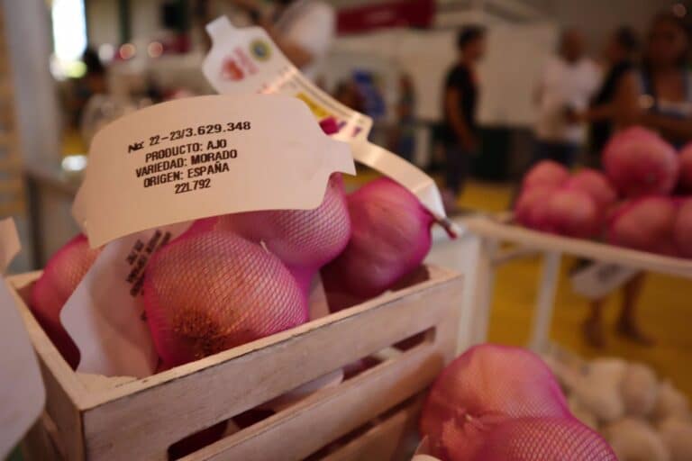 UPA enfatiza la relevancia del seguro en cultivos de frutas y ajos ante los daños causados por las lluvias.