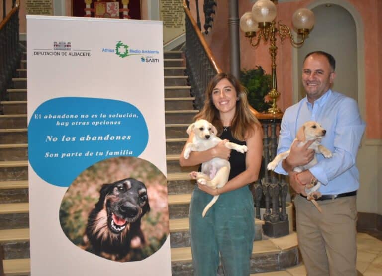 Desde 2009, el programa ‘Emperrados’ en Albacete ha logrado superar las 4.000 adopciones de perros abandonados