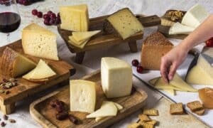 Una quesera de Alcázar y una ganadería de Herencia, entre los nuevos miembros del Patronato de la Fundación DOP Queso Manchego