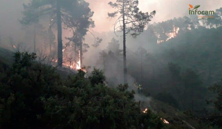 Controlado y apagado el incendio forestal de Bogarra (Albacete): Proteger y restaurar el pulmón verde