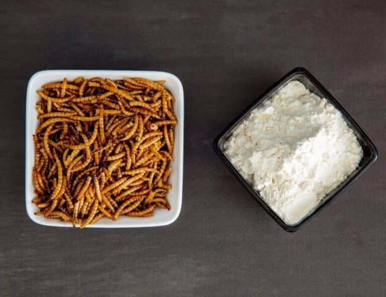 Empresa de Albacete seleccionada en programa EWA para impulsar emprendimiento femenino en el sector agrifood.