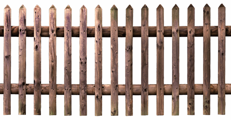 Fecha límite para solicitar ayudas a la práctica deportiva de personas con discapacidad: 15 de noviembre para deportistas paralímpicos y federaciones.