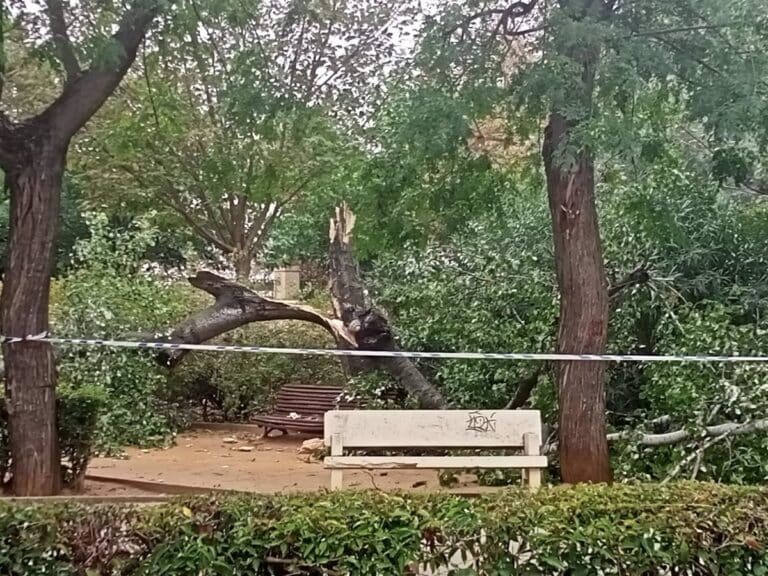Desactivan el Plan Meteocam tras lluvias y viento en Castilla-La Mancha