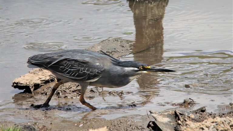 García-Page respalda un «programa innovador» para impulsar el relevo generacional en la artesanía y revitalizar oficios tradicionales.