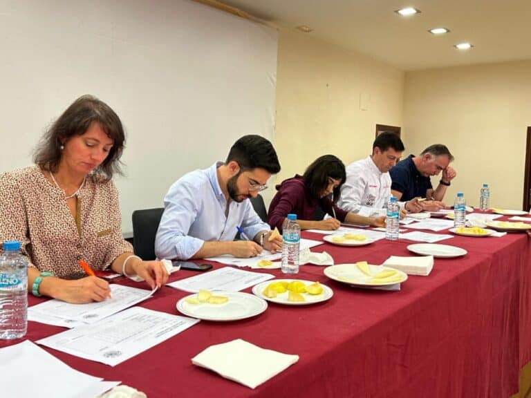 Ganadores de los premios a la calidad diferenciada en queso Manchego Villa de Malagón