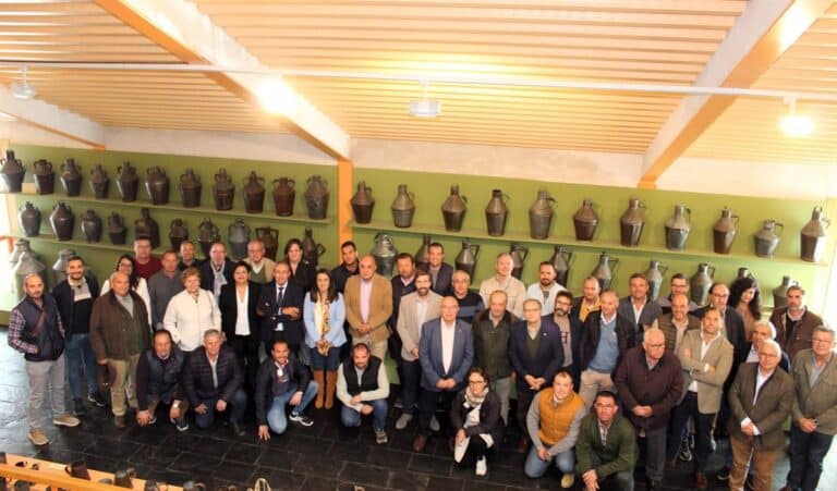 Producción de aceite de oliva en Castilla-La Mancha disminuirá un 35% esta campaña, según Cooperativas Agro-alimentarias.