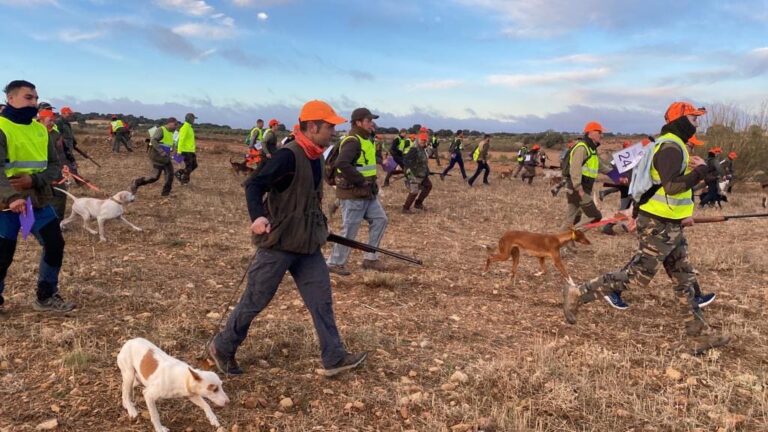 Aroca, Abellán y Tornero revalidan sus campeonatos provinciales de caza menor con perro en Albacete