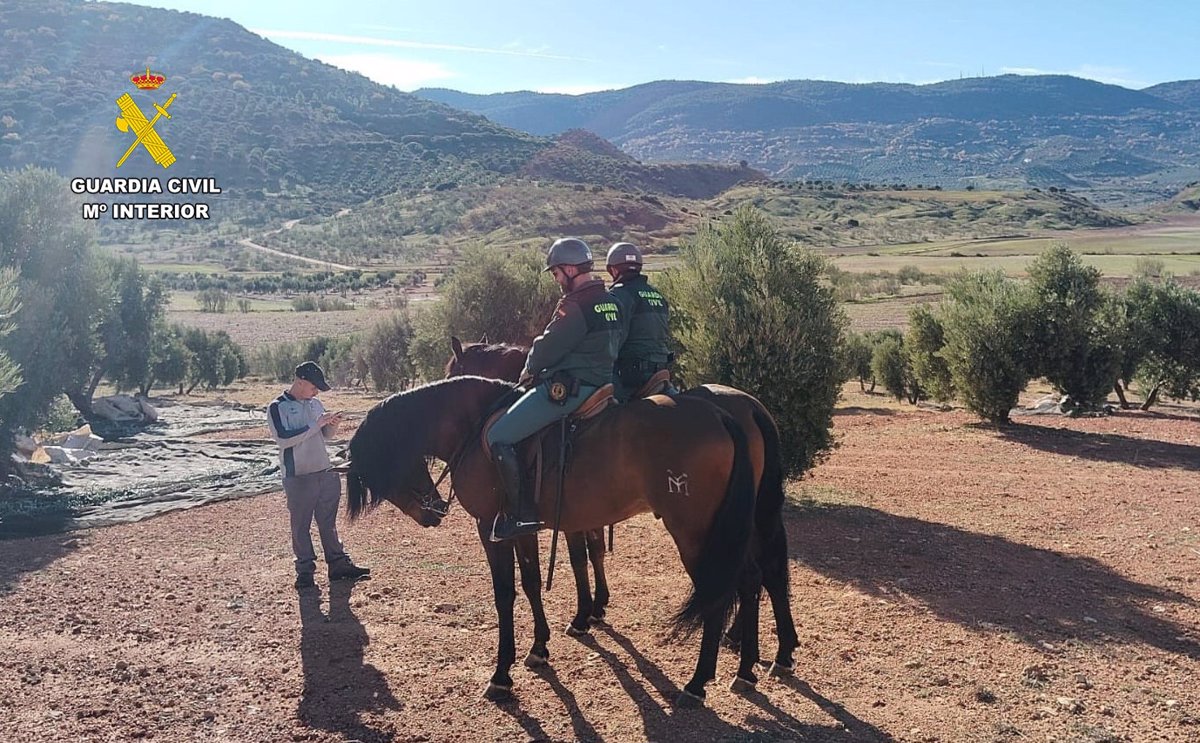 La Guardia Civil en Albacete Incorpora Patrullas Ecuestres para Vigilancia Durante la Campaña Olivarera