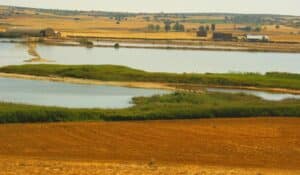 Castilla-La Mancha conmemora el Día Mundial de los Humedales con una amplia gama de actividades en sus áreas protegidas