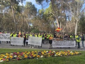 Agricultores en Albacete Rompen con la Plataforma 6F y Mantienen Protestas en Demanda de Precios Justos
