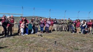 El Gobierno regional inicia la reintroducción del lince ibérico en Cabañeros para fortalecer su recuperación.
