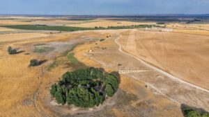 Albacete y la Complutense Firman Convenio para la Recuperación del Yacimiento ‘El Acequión’