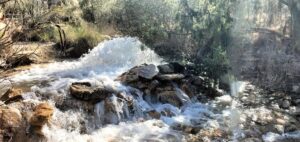 La CHS Obtiene Autorización Ambiental Para Activar Pozos de Sequía en Hellín