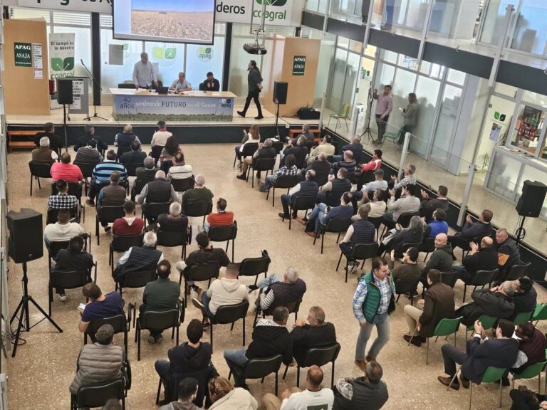 La Siembra Directa Alcanza el 10% de Cultivos en Castilla-La Mancha