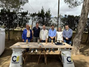 El cultivo de cereal destaca en la provincia con más de 242.000 hectáreas sembradas