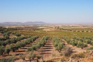 La Junta Anuncia Nuevas Medidas Ante La Sequía en el Sureste de Castilla-La Mancha