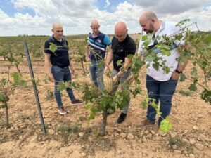 El gobierno regional prioriza seguros agrarios económicos y con máxima cobertura