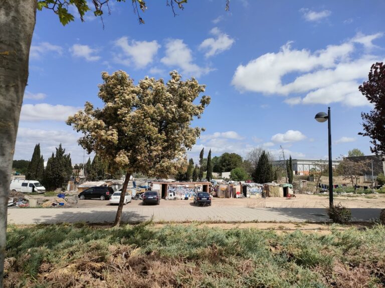 UCIN Albacete alerta sobre la creación de un nuevo barrio de inmigrantes ilegales y temporeros irregulares