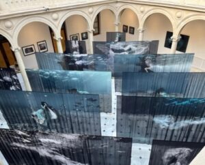 Éxito rotundo: Más de 5.000 visitantes han disfrutado de las exposiciones en el Centro Cultural La Asunción este año
