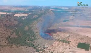 Extinguido el Incendio en Argecilla y Nuevo Fuego Declarado en Tobarra