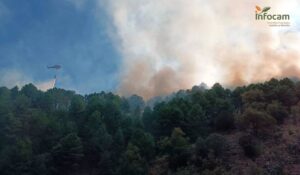 Bomberos logran controlar el fuego en Cortijo de Tortas con 13 medios y 59 personas trabajando en la zona