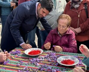 La Diputación de Albacete respalda el Festival de la Rosa del Azafrán en Santa Ana, destacando la importancia del cultivo y tradiciones vinculadas