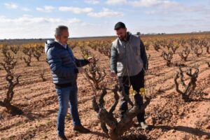 Ayuda del Gobierno regional para jóvenes agricultores en Cuenca: ¡800 incorporaciones desde 2015!