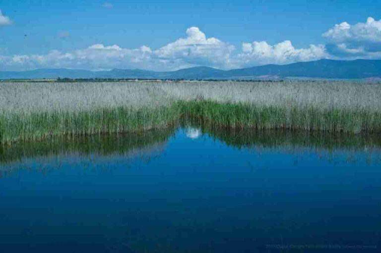 Día Mundial de los Humedales – Celebrando la vida en los humedales de Castilla-La Mancha