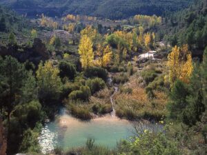 Albacete Acoge la Primera Feria de la Biodiversidad para Promover la Reserva de la Biosfera del Valle del Cabriel