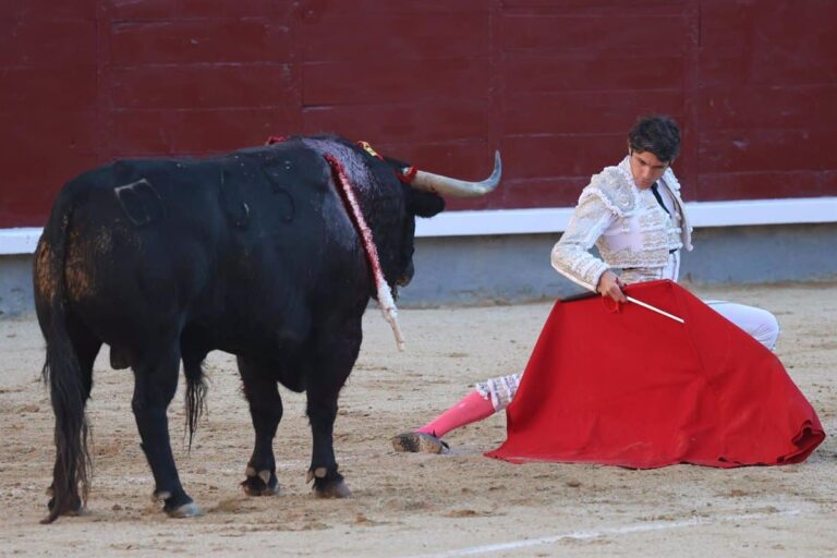 Albacete acogerá la II Semana Taurino-Cultural y jornadas gastronómicas taurinas en abril para celebrar su rica tradición