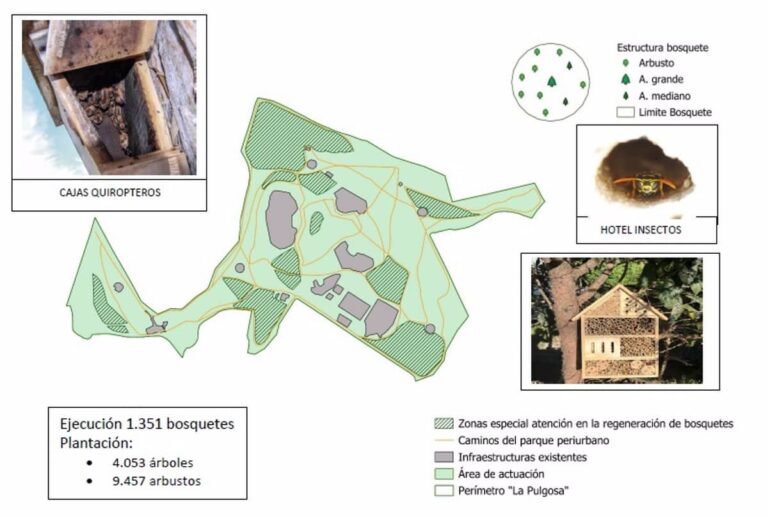 El Ayuntamiento de Albacete Pedirá 2,6 Millones en Fondos Europeos para Renaturalizar La Pulgosa