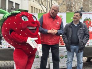 UPA reparte fresas en Albacete para apoyar a los agricultores de Huelva afectados por los tornados en un gesto solidario