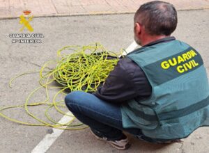 Detenidos Dos Hombres Por Robar Cable De Cobre De 74 Farolas En El Polígono Romica De Albacete